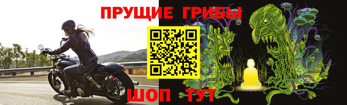 Галлюциногенные грибы мицелий  Вход с VPN  Новочеркасск 